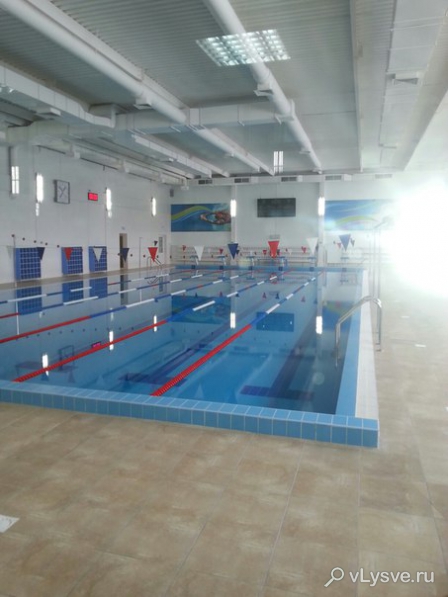 Плавательный бассейн в Лысьве
