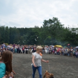 Шоу собак в день города Лысьва 2018